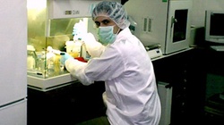 Warszawska klinika testuje środek z komórek abortowanych dzieci! - miniaturka