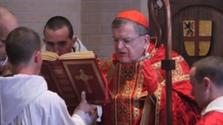 Co zrobi Papież? Mocny głos dwóch kardynałów i biskupa - miniaturka