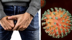 Badanie: koronawirus może infekować jądra - miniaturka