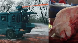 Bodakowski: polać granicę gnojowicą, gumowe kule zanurzyć w świńskiej krwi - miniaturka