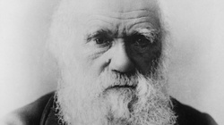O. Michał Chaberek OP: Darwin i katolicka teologia - miniaturka