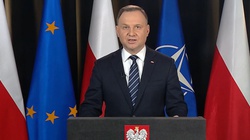 Prezydent po szczycie NATO: Zawieszenie broni nie wystarczy  - miniaturka