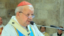 Kardynał Stanisław Dziwisz jasno o akcji promującej LGBT! - miniaturka