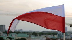 Polska wprowadzi nowy symbol państwowy? - miniaturka