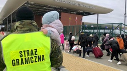 Nowe dane Straży Granicznej. Ponad 3,2 mln uchodźców w Polsce - miniaturka