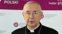 Episkopat: Prawie 400 przypadków pedofilii od 1990 roku - miniaturka