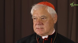 Kard. Müller po słowach Franciszka: Papieskie oświadczenie wprawia katolików w irytację  - miniaturka