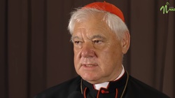 Kardynał Müller dla PAP: "Kościół dopuszcza zabójstwo w obronie koniecznej" - miniaturka