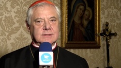 Kard. Müller: Słowa papieża o homoseksualistach nie są dla wiernych wiążące - miniaturka