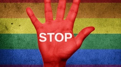 Projekt „Stop LGBT” wchodzi do Sejmu. Projektodawcy: Postulaty tych marszów są niezgodne z Konstytucją - miniaturka