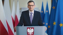 Sondaż. Premier Morawiecki politykiem, któremu najbardziej ufają Polacy - miniaturka