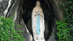 To dzieje się naprawdę! Matka Boża z Lourdes uzdrawia!  - miniaturka