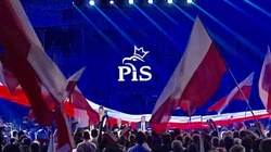 Sondaż: PiS gromi opozycję! Traci Lewica i Konfederacja - miniaturka