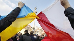 Sondaż: Ukraińcy uważają Polskę za sojuszniczy kraj - miniaturka