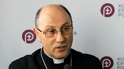 Belka w oku Koscioła: zatajanie przypadków molestowania przez biskupów - miniaturka