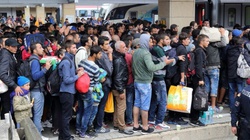 Francja - kraj imigranckiego bezprawia. 2 tys. napadów dziennie!!! - miniaturka
