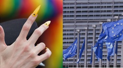 Radykalne postulaty ruchu LGBT w unijnej Strategii  - miniaturka
