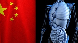 Szokujące! B. doradca Trumpa: W Chinach ma miejsce przymusowe pobieranie ludzkich narządów - miniaturka
